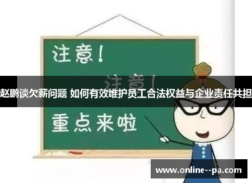 赵鹏谈欠薪问题 如何有效维护员工合法权益与企业责任共担