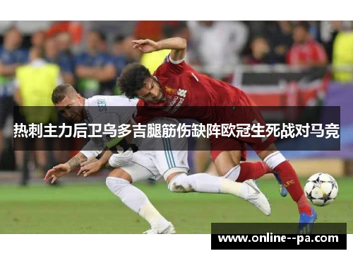 热刺主力后卫乌多吉腿筋伤缺阵欧冠生死战对马竞